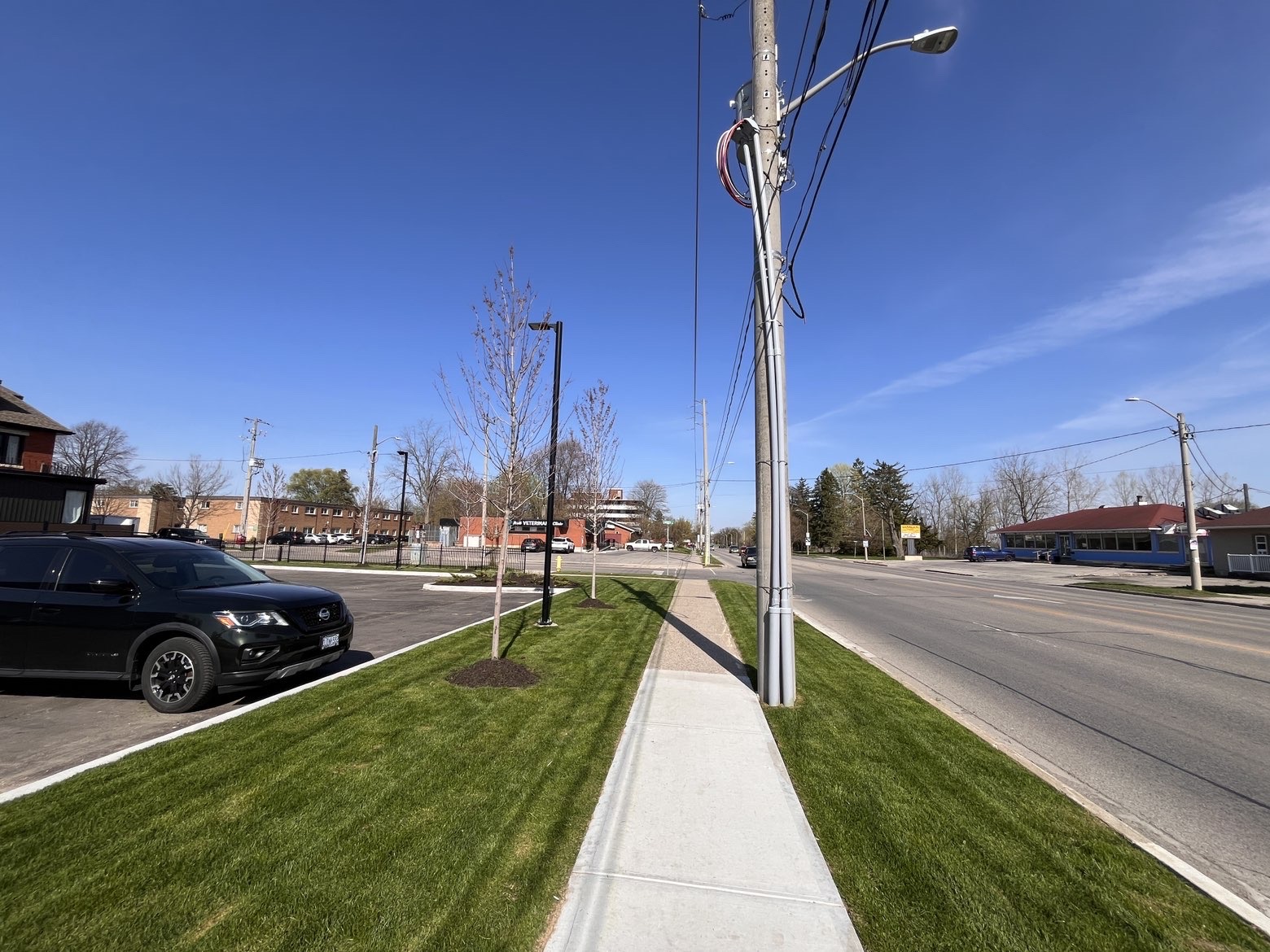Professionally trimmed hedge in Brantford Ontario