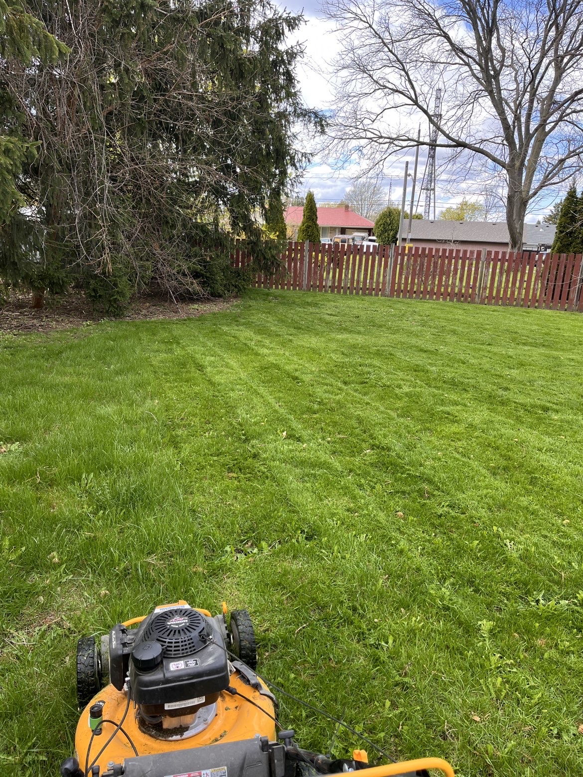 Lawn care service in Paris Ontario